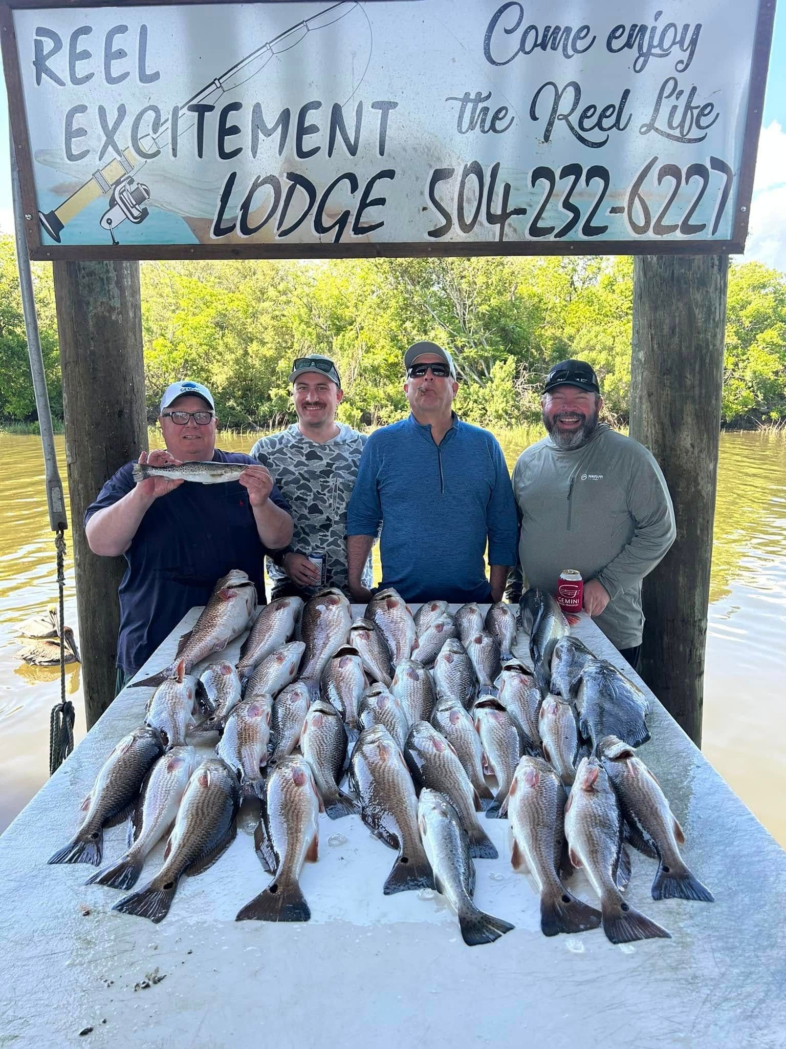 486238706 1262164565700067 5642688480495818920 N