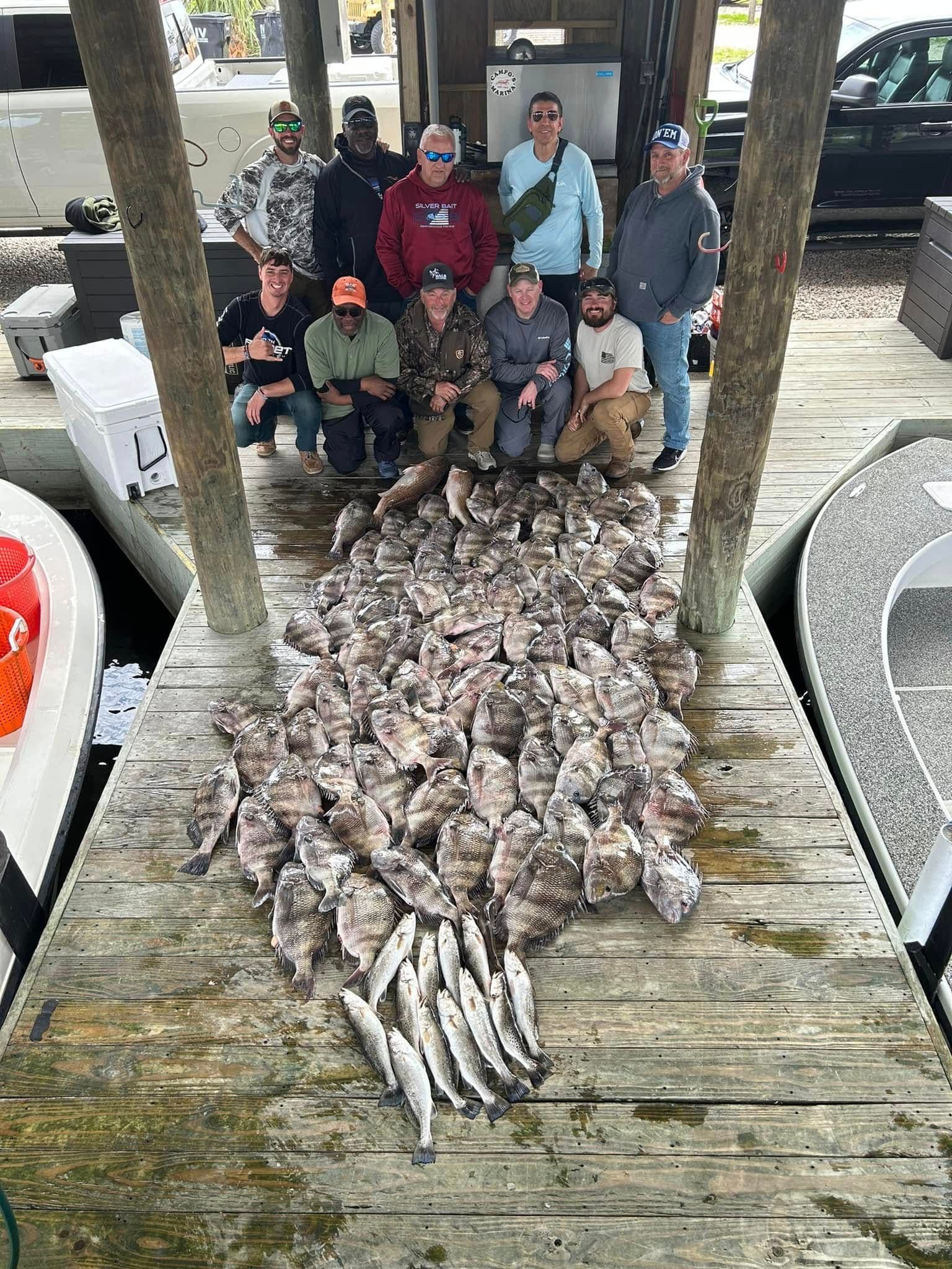 487328217 1262164505700073 3700916536827778295 N